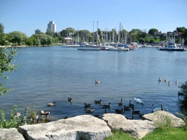 Harbour House Apartment Hamilton Luaran gambar